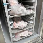 Energy Saving Quick Freezer Machine Multi Functional Cryogenic Blast Freezer