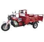 Motorized Lift 3 Wheel 250CC Cargo Tricycle