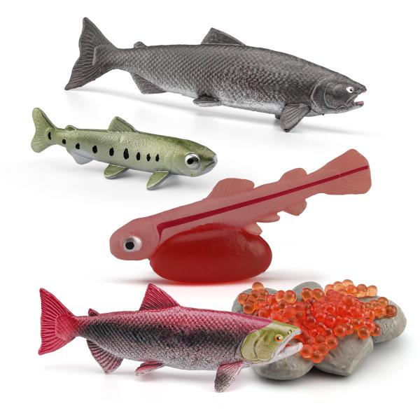5 PCS Sea Marine Animal Figures Ocean Creatures Action Figure Models Life Cycle