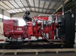 300KW Natural Gas Biogas Generator Set with 50HZ/60HZ Frequency and 180A Rated