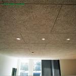 Meeting Room Wood Wool Cement Board with 25mm Thickness 600mm Width