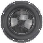 8''Ferrite Motor Subwoofer,250wrms, 2'' voice coil,4 ohms, freq. response: 30