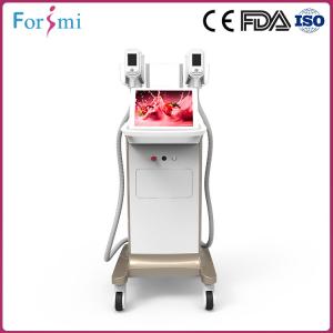 China Best multi-function 2 handles new technology lipo laser tech fat freezing new slimming equipment for beauty center use on sale