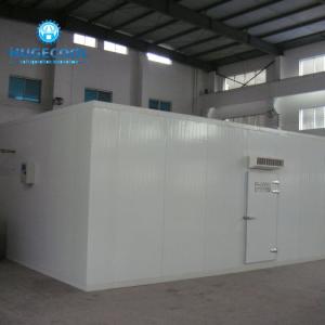 Wholesale Cooling System Cold And Freezer Rooms With Glycol Secondary Refrigeration from china suppliers