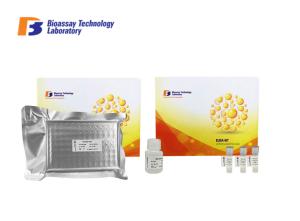 Wholesale Human Enzyme Immunoassay Kit GPR173 Probable G - Protein Coupled Receptor 173 from china suppliers