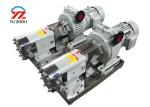 Rotary Positive Displacement Pumps With Stepless Speed Regulating Motor Reducer