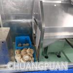 Custom Coconut Water Making Machine 1-25 BIB Bag