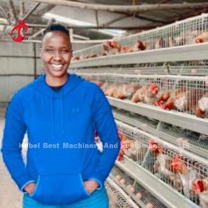Wholesale Galvanized Steel Layer Chicken Cage System Sandy from china suppliers