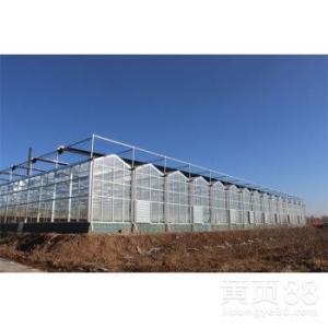 Wholesale Advanced Hydroponic System for Growing Vegetables in Agricultural Greenhouses from china suppliers