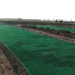 PP Grass Paving Grids Geocell for Driveway Elite Black Green Surface Welding