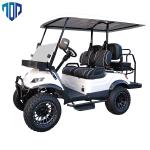 AC System Electric Utility Cart 4KW 48V Better Climbing