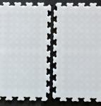 Self Lubricating Ice Skating Floor Tiles Interlocking Sport Floor Tiles