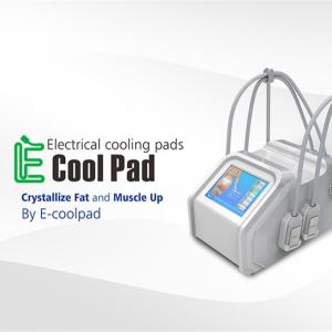 Wholesale Cryolipolysis Fat Freezing Machine Electrical Muslce Stimulation Machine Beauty Machine For Weight Loss from china suppliers