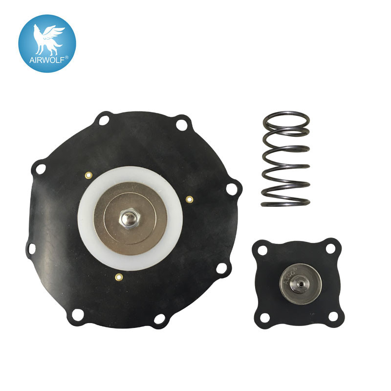 C113928 Diaphragm Repair Kit For SCXE353.060