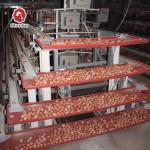 3-4 Tiers Battery Layer Chicken Cage For Laying Hens Farm ISO9001 Listed