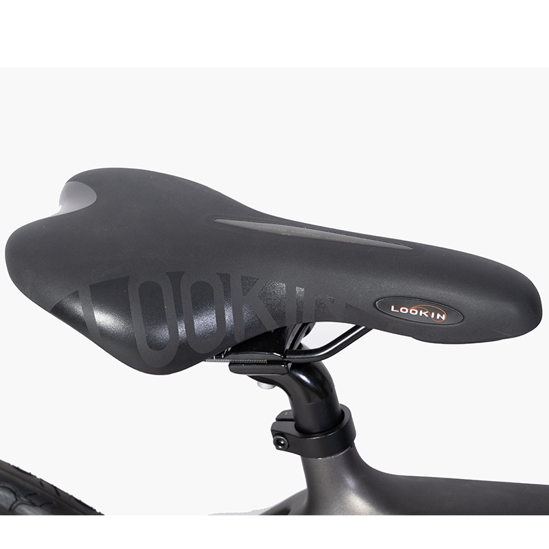 Max Speed 30-50Km/h Electric Road Bike Carbon Fibre Frame Hidden Battery for Your 's