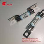 Short Circuit Protection Electric Vehicle Fuse 40A With Breaking Capacity 3KA