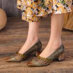 HZM048 Single Shoes Women'S Spring New Thick Heel Pointed Literary Single Shoes