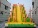 Giant Inflatable Sport Slide (CYSL-35)