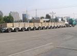 Customized Axle Number Superior Load Distribution Lowbed Trailer Hydraulic Semi
