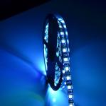 RGB Dimmable Led Rope SMD2835 Strip Light Changeable Emitting Color 3 Years