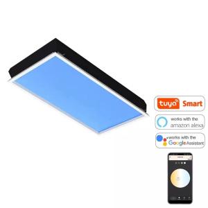 Wholesale Remote Control LED Skylight Panel 220V 60x120 Durable Artificial Sunlight from china suppliers