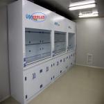 Customized Chemical Fume Hood Laboratory Fume Cupboard With Scrubber for Clean