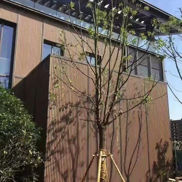 Durable Exterior WPC Wall Panel Co Extrusion Stain Resistant