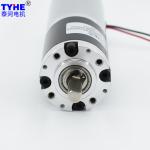 TYHE PMDC Geared Motor 8nm Planetary Gear Motor 12V For Grill