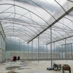 Excellent Natural Ventilation Sawtooth Greenhouse With Hot Dipped Galvanized