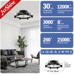 1stshine Ceiling Fan Light CE Elegant Black Flush Mounted Lighting Solutions