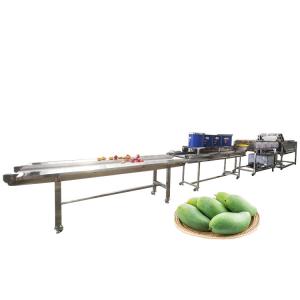 Wholesale Hot selling Washing Vegetable Machine For Leafy Vegetable Cleaning by Huafood from china suppliers