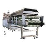 42kw Dough Balls Making Machine For Tortilla Production Line Advanced Fuctionali