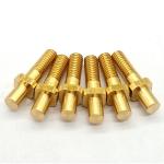 Customized Gold Plated Bolts Automotive Nuts And Bolts High Precision