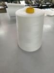 Garment Sewing 40S/2 135gram 100 Polyester Thread