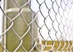8 Foot Boundary Wall Pvc Coated Industry Galvanized Chain Link Fence Hot Dipped