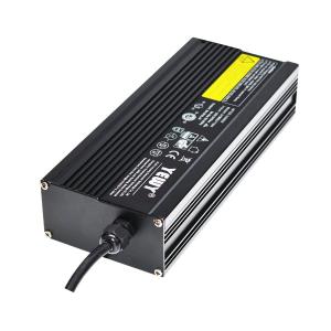 China 24V 12A Waterproof Battery Charger Intelligent Surfboard Charger on sale