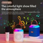 Outdoor DJ Party Karaoke Speaker With Wireless Microphone And Bluetooth