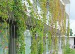 YT Stainless Steel Garden Fence , Diamond Mesh Wire Fence For Green Plants
