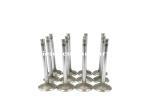Navistar DT466 Intake Exhaust Valves