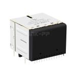 LPJ27312A43NL 10/100 Base-T 8p8c Green&Yellow/Green&Yellow LED 2x2 Port RJ45