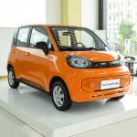 Pocco Duoduo Mini Electric Cars Mini EV Car 110 N·M 170km