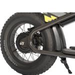 Affordable 36V350W 16 inch Fat Tire Electric Dirt Bike for Kids Experience the
