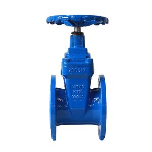 Wholesale Non Rising Stem Sewer Gate Valve 8 Inch PN16 Nut Type from china suppliers