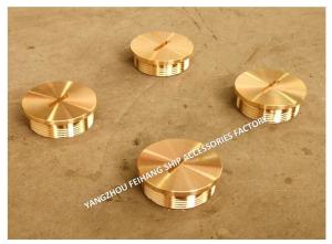 Wholesale FEIHANG'S PLUG CHAIN SOUNDING TUBE FOR STEEL DECKS SOUNDING TUBE CAP SOUNDING PIPE CAP SOUNDING HEAD CAP from china suppliers