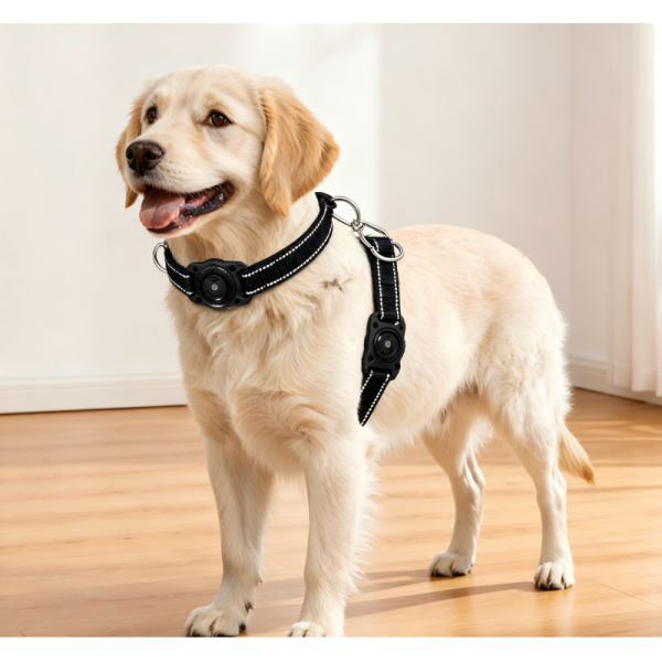 Durable Plastic GPS Navigator Dog Collar Waterproof Reflective Real-Time Tracking Soft Padded Adjustable