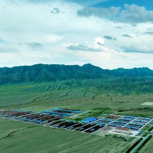 Prefab Steel Structure Warehouse Building Customizable Fast Installation