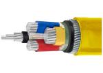 Galvanized Steel Armoured Electrical Cable Aging Resistant Armored Power Cable