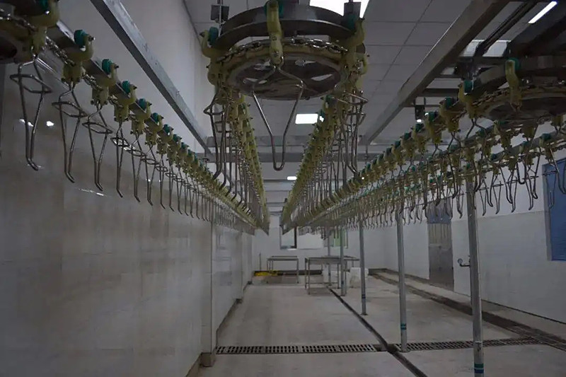 Automatic Small Abattoir Poultry Slaughterhouse Equipment Chicken Mobile Machinery