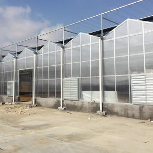 Wholesale Snow Resistant Agriculture Polycarbonate Aluminum Frame PC Sheet Greenhouse For Strawberry from china suppliers